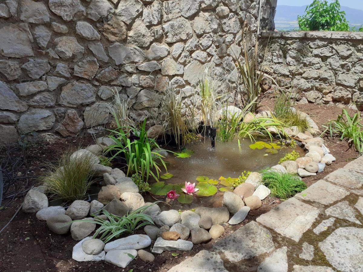 Agoriani Art Suite - 4 Seasons' Natural Living Lílaia Extérieur photo
